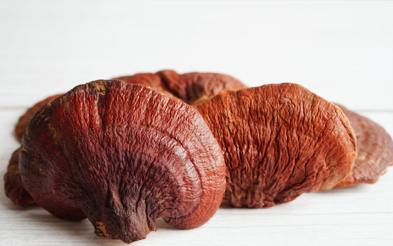 Mushrooms