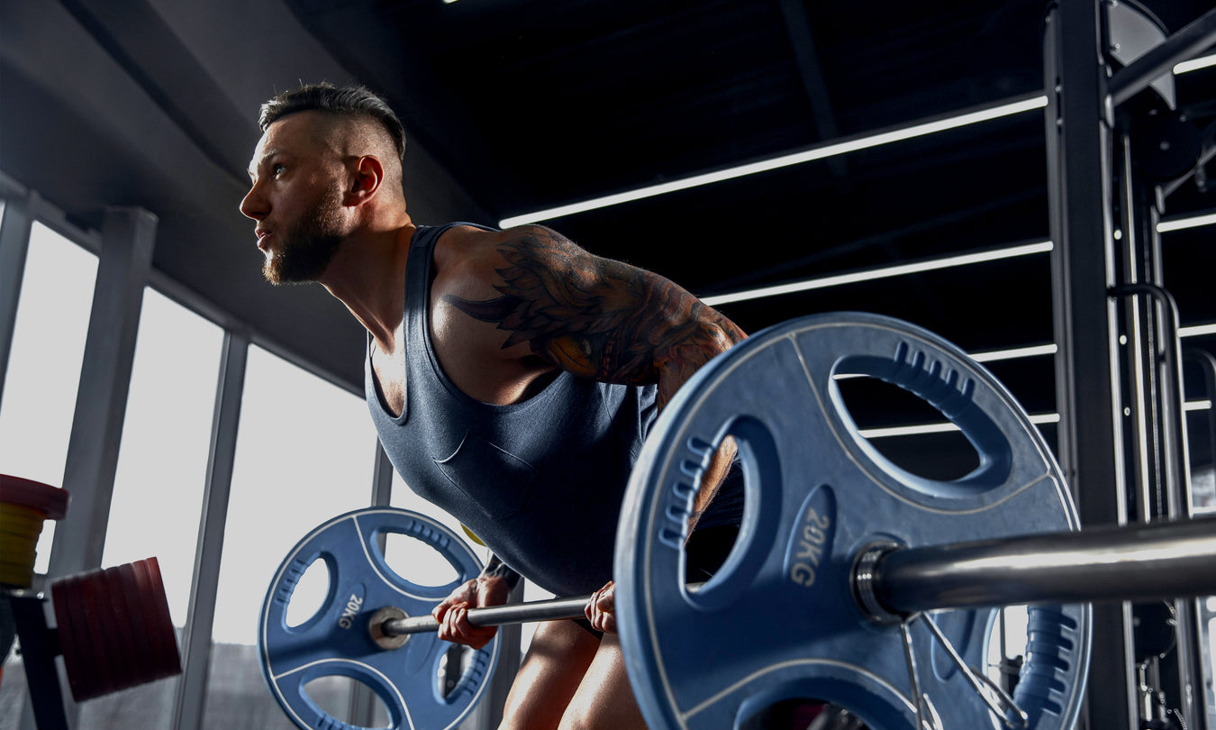 Workout/Muscle Building