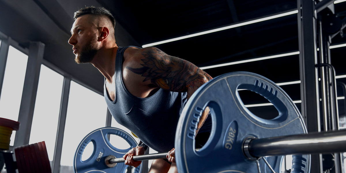 Workout/Muscle Building — SmsHealthProducts