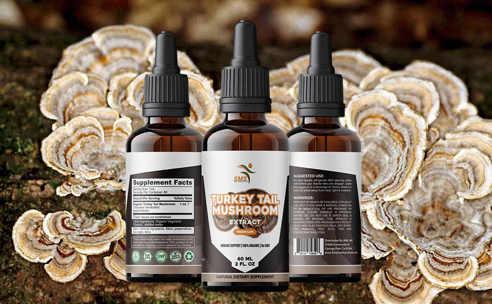 Turkey Tail Mushroom Drops (Trametes versicolor) | Alcohol-Free Tincture | Herbal Supplement | Vegan | 4 fl oz (2 Pack) Liquid Extract