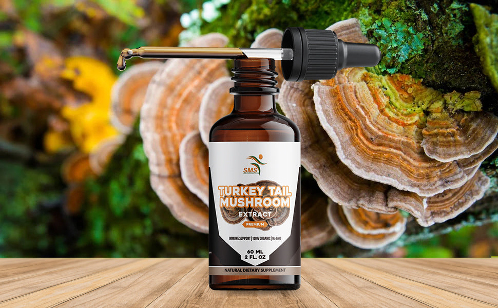 Turkey Tail Mushroom Drops (Trametes versicolor) | Alcohol-Free Tincture | Herbal Supplement | Vegan | 2 fl oz Liquid Extract
