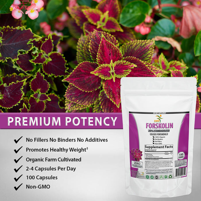 Pure Forskolin Extract Supplement with Potent Coleus Forskohlii 20% Standardized 1,000 mg for Enhanced Energy - Plant-Based Energy Supplements for Women and Men - 100 Veggie Capsules