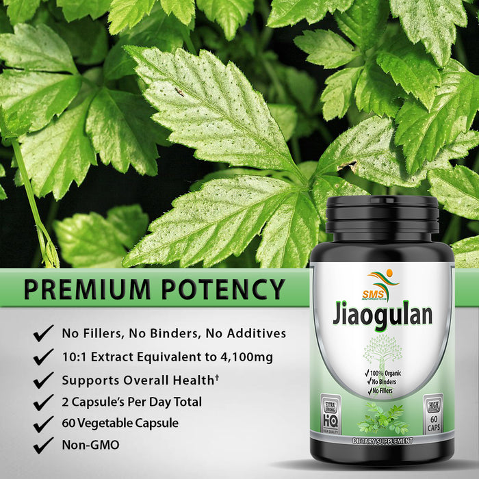 Jiaogulan Pills, 60 Veggie Capsules (Extract 10:1, Vegetarian, Non-GMO & Gluten-Free) Gynostemma AMPK Metabolic Activator Pentaphyllum